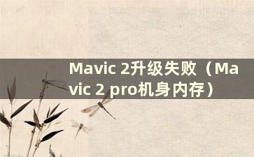 Mavic 2升级失败（Mavic 2 pro机身内存）